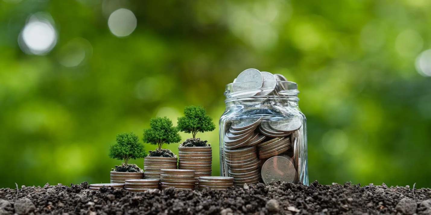 Wooden sign Climate Plan Focus