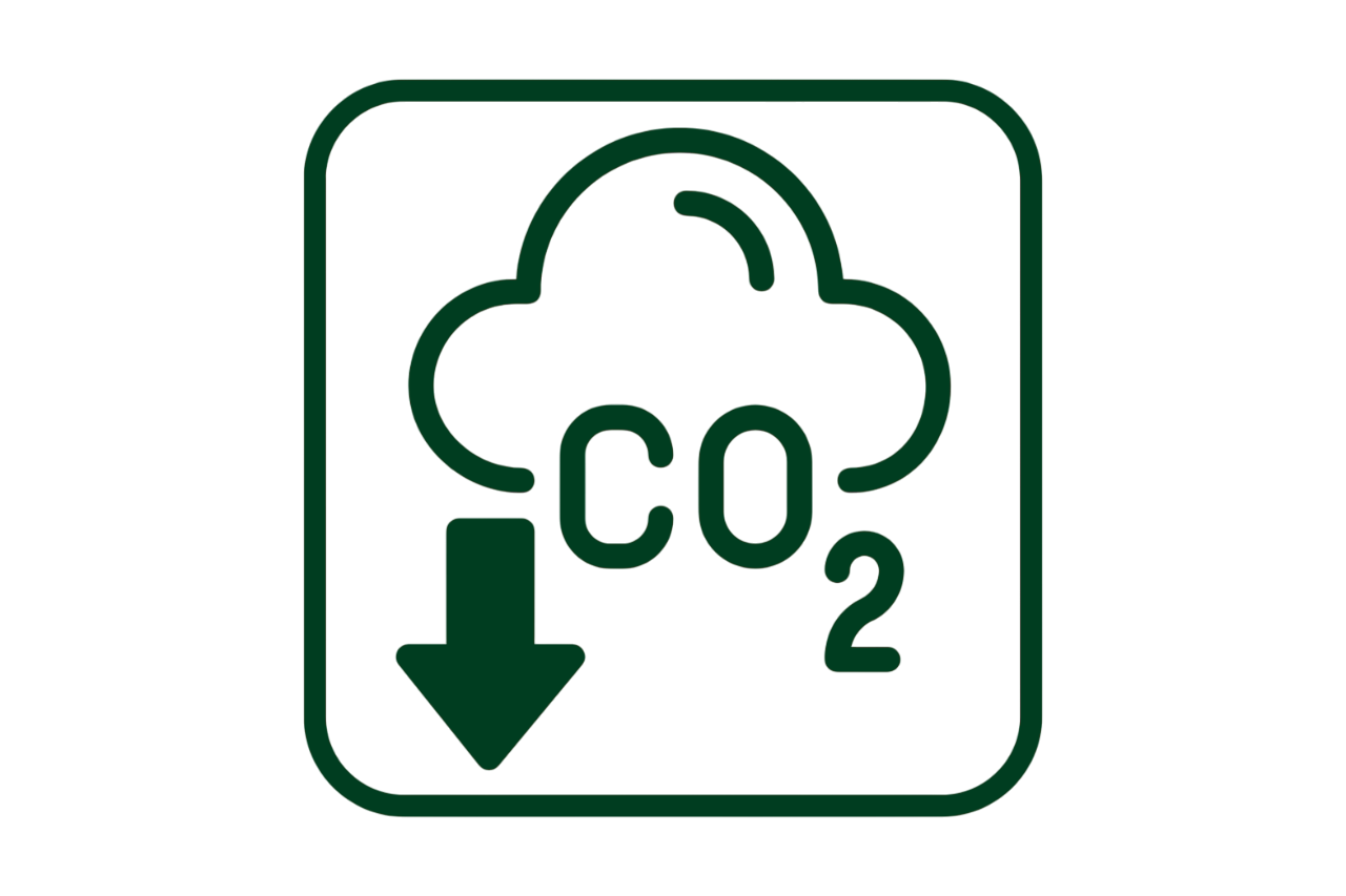 CO2 icon